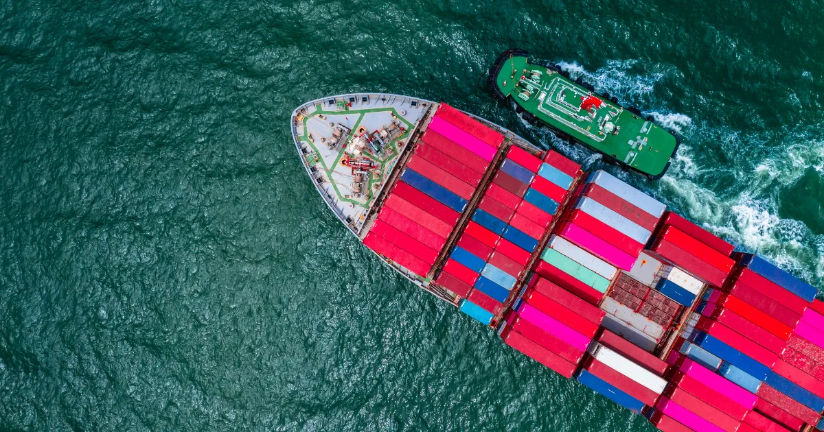 Does your service have ALL the tender opportunities?