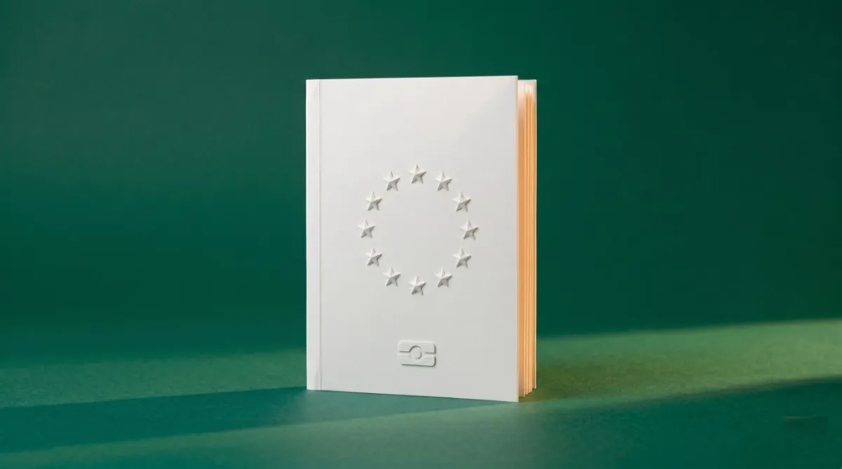 Data sovereignty tips for businesses selling into EU governments - Pt 1: Professional services projects