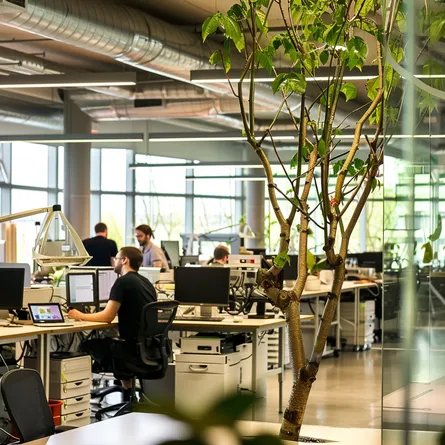 New US Federal AI Rules: A Guide for Government Suppliers